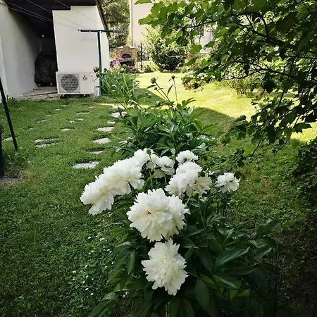 Maison 3 Etoiles Avec Jardin Pour Familles, Sportifs, Curistes... Digne-les-Bains